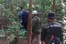 "Susur Jerat Harimau" di TN Berbak-Sembilang, peringati Hari Harimau Sedunia