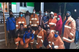 Damkar musnahkan sarang lebah yang menewaskan seorang kakek