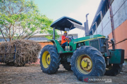 Tiga pabrik gula PTPN XIV lakukan penggilingan