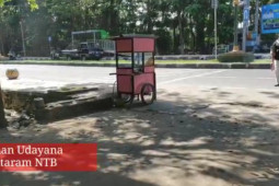 Mengenal Taman Udayana