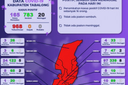 Kasus terkonfirmasi positif COVID-19 di Tabalong 968 orang