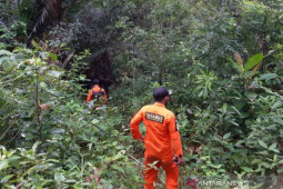 Nenek pencari kayu bakar hilang di hutan