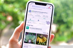 Digitalisasi pasar tradisional di daerah melibatkan platform digital