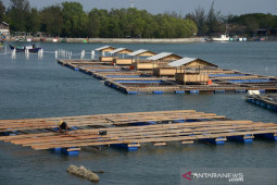 Pemkab Nagan Raya bangun keramba apung senilai Rp1,6 miliar untuk masyarakat