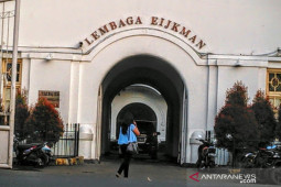 Eijkman: Virus corona asal Indonesia menyebar ke berbagai provinsi