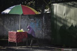 Tajuk ANTARA NTB - Luka sunyi perempuan di Bumi Gora