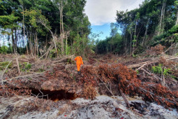 Dua orang tersesat di hutan Sungai Maya Tarakan