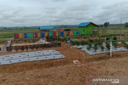 Kukar jadikan Desa Tanjung Batu Kawasan Cadangan Pangan Nasional