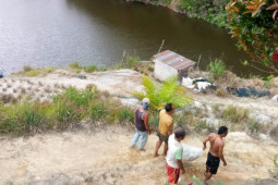 Bibit ikan Nila "Raja Inal" dari Sipirok mulai diminati peternak ikan Parapat