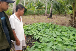 Kelompok tani Talas Beneng Tapsel apresiasi LKBN ANTARA