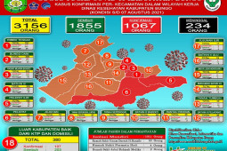 1011 pasien COVID-19 di Kabupaten Bungo jalani isolasi mandiri