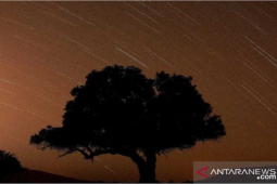 Lapan: Puncak hujan meteor perseid terjadi 12-13 Agustus 2021