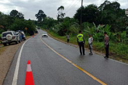 Pengendara sepeda motor tewas tabrak truk sawit