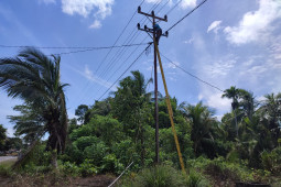PLN Ketapang optimalkan aset demi keandalan pasokan listrik