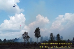 Karhutla landa di Muara Medak Musi Banyuasin