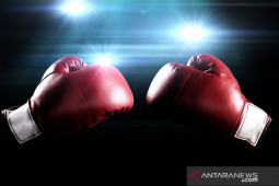 Jadwal pertandingan tinju dunia di Februari 2022