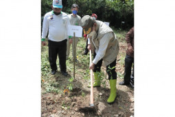 Pemkab Dairi tanam ratusan pohon di sumber mata air