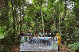 Sambut Hari Gajah dan Harimau Sedunia, PT WKS lakukan patroli