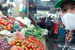 Harga sayur dan bumbu dapur di Jember fluktuatif