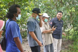 Adet Mastur Sambangi Kelompok Tani Belinyu