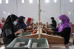 Industri rokok dorong produktivitas petani tembakau Lumajang