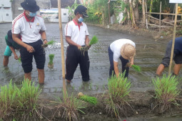 Pemkab Badung ajak masyarakat geluti pertanian