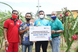 Petani Buah Naga Manfaatkan Teknologi Electricfying Agriculture