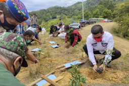 KPA dan mahasiswa di Aceh tanam 1.000 pohon saat Kemerdekaan RI