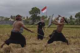 Pertunjukkan presean meriahkan HUT RI