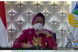 Kementerian Sosial aktivasi fitur "usul" dan "sanggah" di aplikasi Cek Bansos