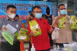 BNN Aceh tingkatkan kapasitas guru cegah penyalahgunaan narkoba