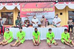 FJL kawal kasus pembunuhan gajah di Aceh Timur