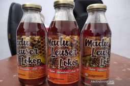 Disperindag sebut legitnya cuan bisnis madu di Aceh Timur