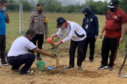 Wabup Balangan sukseskan penanaman satu juta pohon