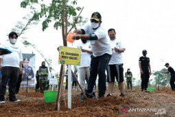 Gubernur: 500 ribu hektare lahan di Kalsel siap dihijaukan kembali