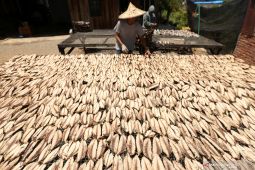 "Engkot keumamah", kuliner perang Aceh masih bertahan