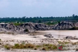 Bupati Bangka dorong petani manfaatkan lahan kosong