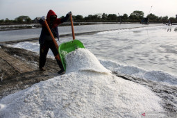 "Washing plant" berikan nilai tambah bagi komoditas garam