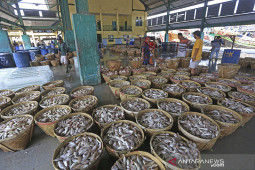 Produksi perikanan laut Indonesia