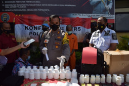 Polisi bekuk pengedar puluhan ribu pil koplo lintas provinsi di Bali (video)