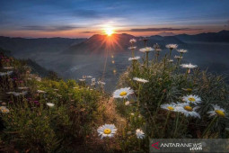 Dua desa di Lumajang masuk nominasi Anugerah Desa Wisata Indonesia 2021