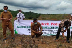 Bupati Aceh Timur ajak masyarakat tanam ubi