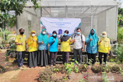 Komunitas Wanita Tani dukung program Bupati Bogor "Green and Clean"