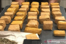 Polisi berhasil tangkap empat pengedar ganja di Karawang