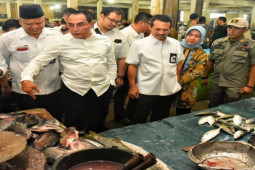Harga hasil laut di Sumut  melonjak akibat musim hujan