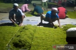 Pemkab Pamekasan rekrut tim pemantau tata niaga tembakau