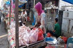 Harga daging ayam ras di Sumut naik didorong mahalnya hasil laut