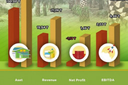 Laba PTPN Group naik dua kali lipat sebagai bukti keberhasilan transformasi