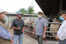 Pemprov Kepulauan Babel fasilitasi KUR petani kembangkan lima komoditas