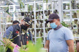 Pemkab Kediri berencana bangun "green house" untuk budi daya anggrek